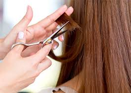 Hair Treatment & Cutting